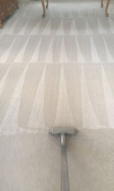 Meet Gabriel, Owner of Aras Carpet Cleaning in Downtown Tracy