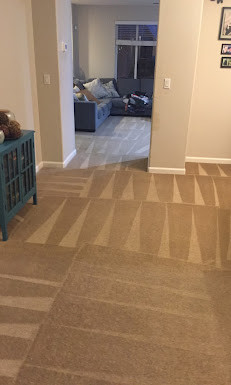 Meet Gabriel, Owner of Aras Carpet Cleaning in Downtown Tracy